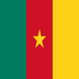flag: Cameroon on Google