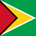 flag: Guyana on Google