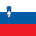 flag: Slovenia on Google