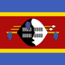 flag: Eswatini on Google
