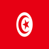 flag: Tunisia on Google
