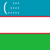 flag: Uzbekistan on Google