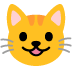 grinning cat on Google