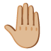 raised back of hand: medium-light skin tone on Google
