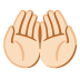 palms up together: light skin tone on Google
