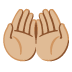 palms up together: medium-light skin tone on Google