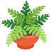 potted plant on Google