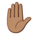 raised hand: medium skin tone on Google