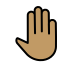 raised back of hand: medium skin tone on OpenMoji