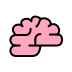 brain on OpenMoji