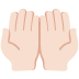 palms up together: light skin tone on Twitter/X